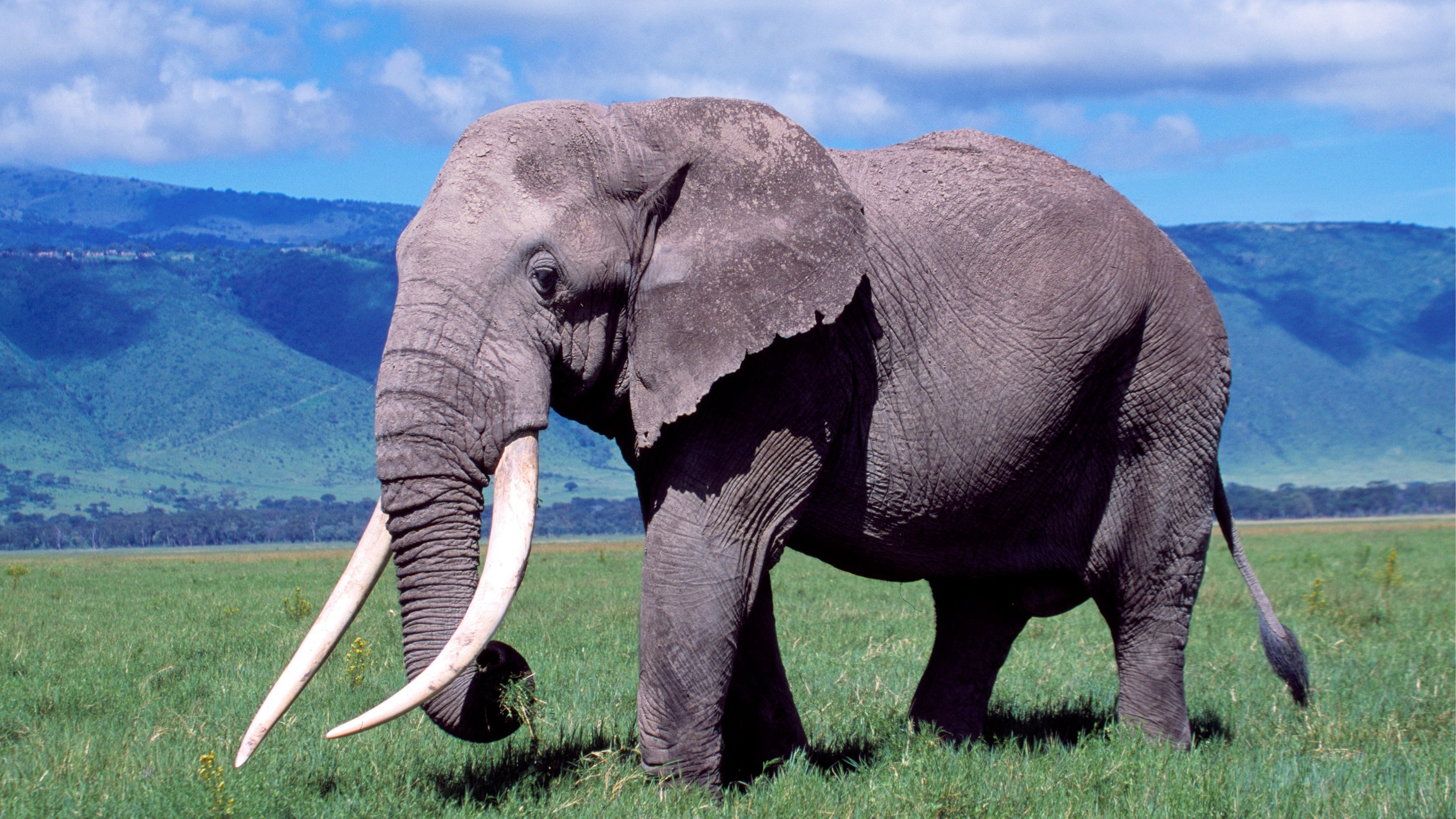 Bashay Rift Lodge thumbnail 6